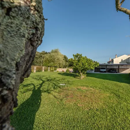 Devesas 3* Эль-Грове