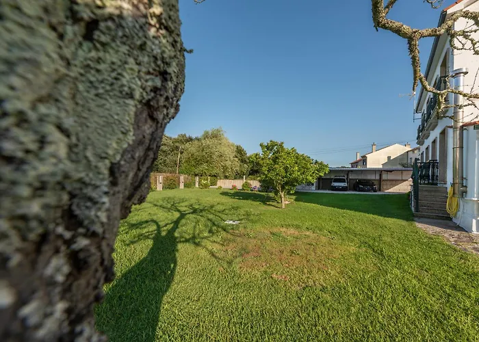 Devesas 3* Эль-Грове