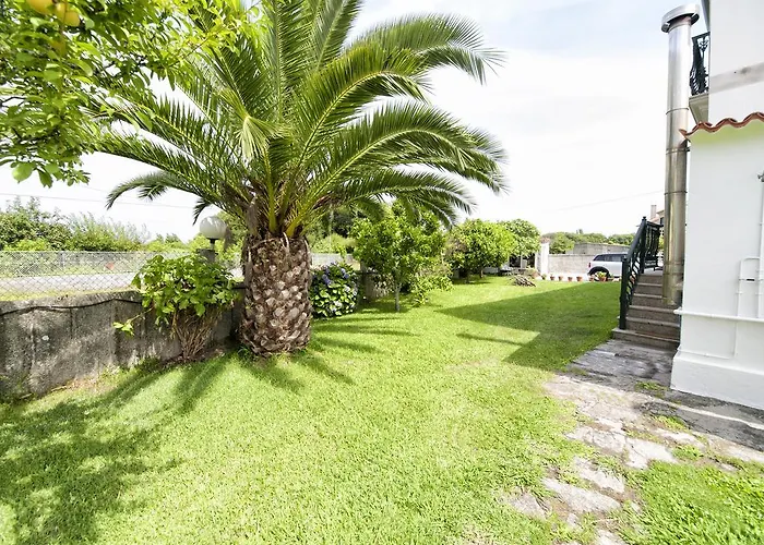 Devesas 오그로브