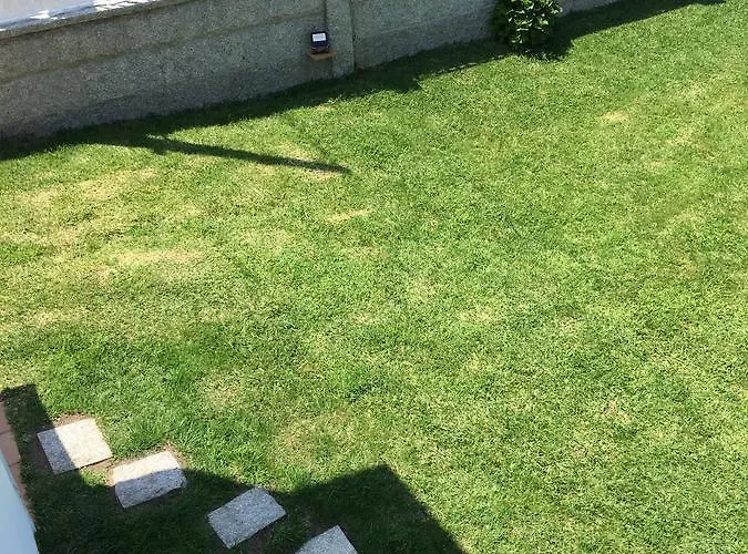 Devesas 3* 오그로브